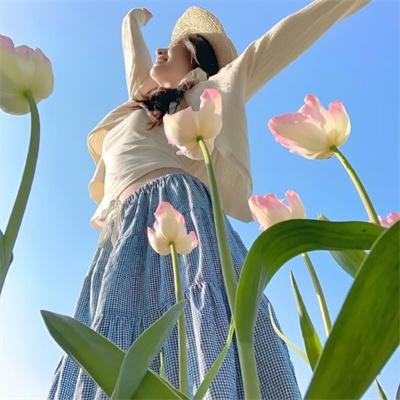 狄仁杰之夺魂梦魇 封面