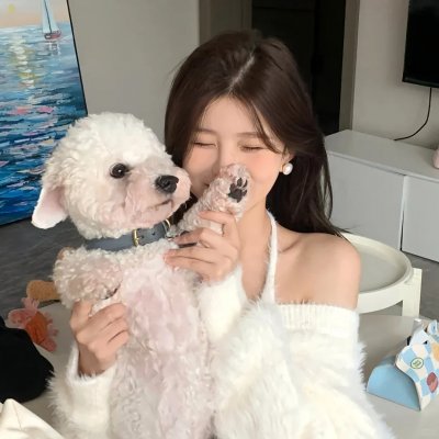 灵魂冲浪人 封面